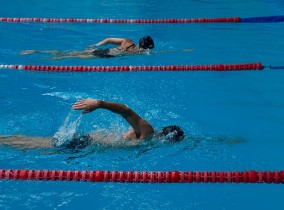 Entrenamiento Adultos